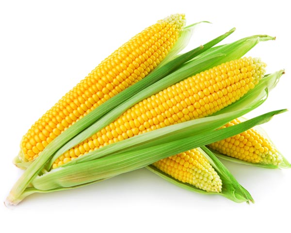 Corn