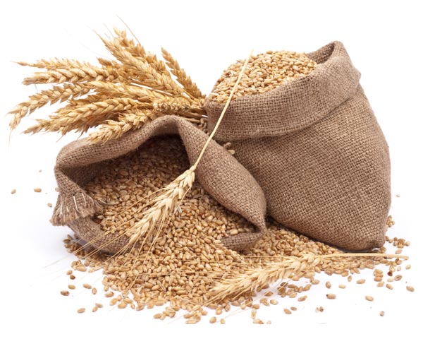 Wheat